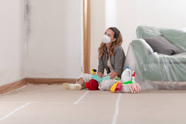 Reliable Mold Testing contractor in West Islip, NY by WQB Mold Removal